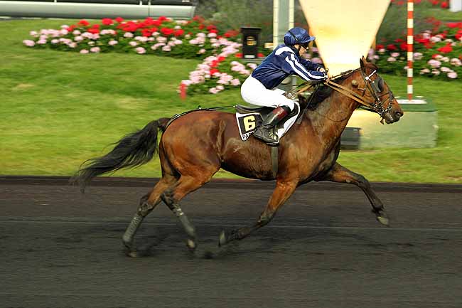 Arrivée quinté pmu PRIX PAUL DELANOE à PARIS-VINCENNES