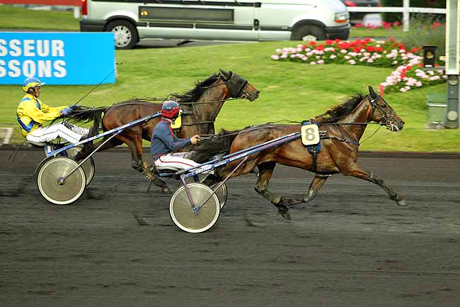 Arrivée quinté pmu PRIX URANIA à PARIS-VINCENNES