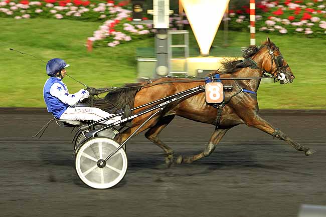 Arrivée quinté pmu PRIX TERPSICHORE à PARIS-VINCENNES
