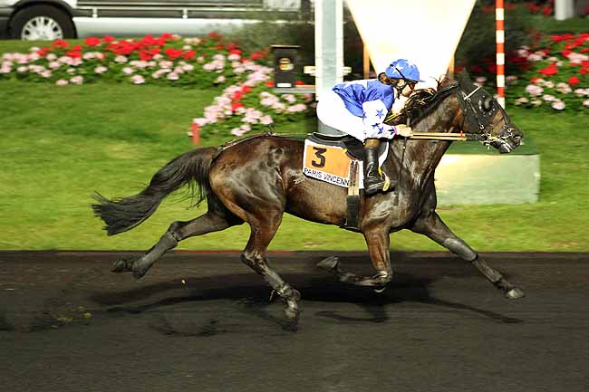 Arrivée quinté pmu PRIX CYBELE à PARIS-VINCENNES