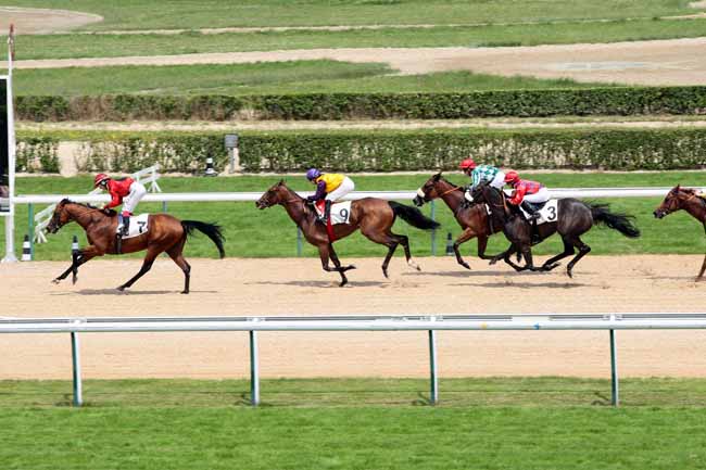 Arrivée quinté pmu PRIX DU MANOIR POTIER à DEAUVILLE