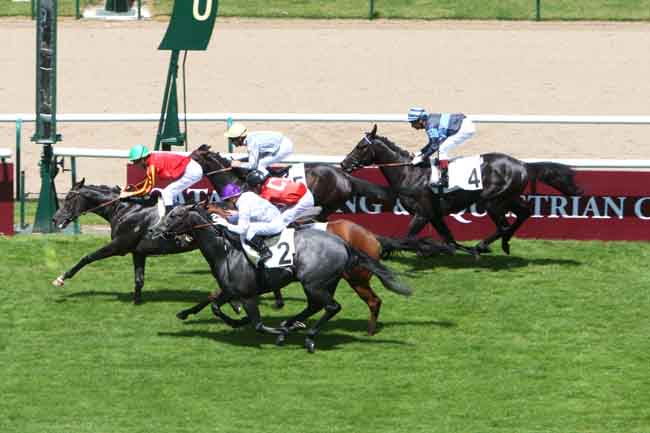 Arrivée quinté pmu PRIX DU PUITS AUX CHIENS à CHANTILLY