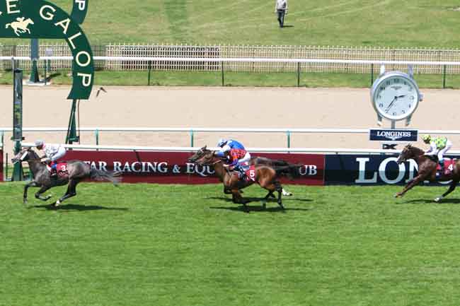 Arrivée quinté pmu PRIX QATAR COUPE DE FRANCE DES CHEVAUX ARABES à CHANTILLY