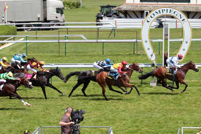 Arrivée quinté pmu PRIX DE LA PLAINE DU PUTOIS à COMPIEGNE