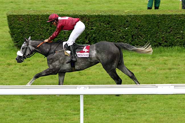 Arrivée quinté pmu PRIX LEOPOLD D'ORSETTI à CLAIREFONTAINE