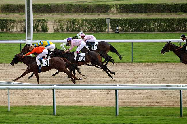 Arrivée quinté pmu PRIX DU MOLAY-LITTRY à DEAUVILLE