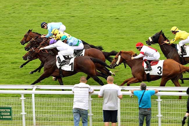 Arrivée quinté pmu PRIX DES BERGERIES à DEAUVILLE