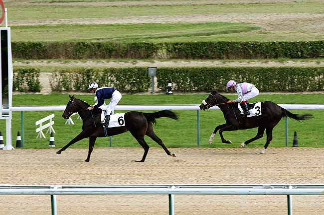 Arrivée quinté pmu PRIX D'AUTHOU à DEAUVILLE