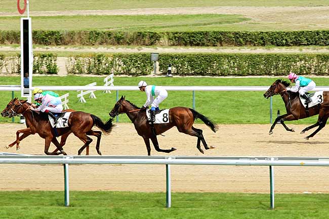 Arrivée quinté pmu PRIX DE LA ROCQUE à DEAUVILLE