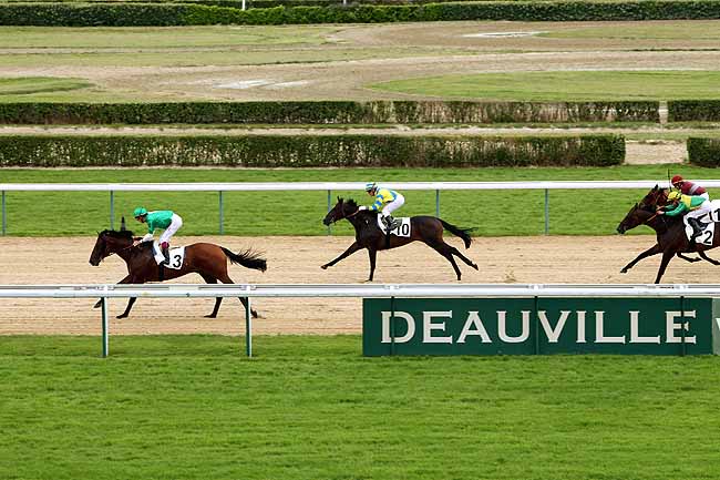 Arrivée quinté pmu PRIX DE GRAIGNES à DEAUVILLE