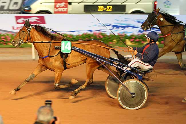 Arrivée quinté pmu PRIX DES SPIREES à CABOURG
