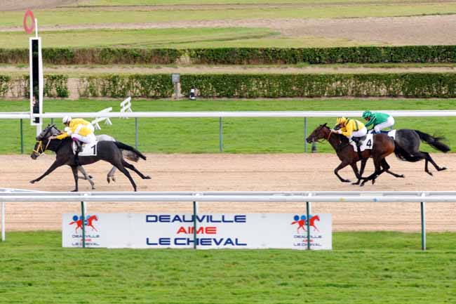 Arrivée quinté pmu PRIX DE LA GATINE à DEAUVILLE