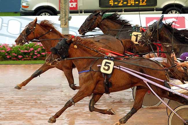 Arrivée quinté pmu PRIX DES PIVOINES à CABOURG