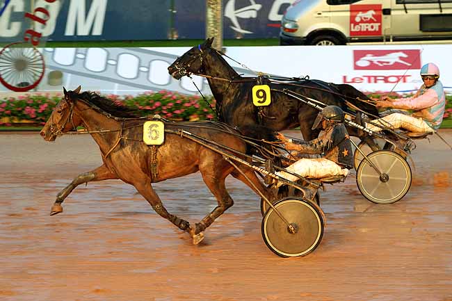 Arrivée quinté pmu PRIX DES MUSCARIS à CABOURG