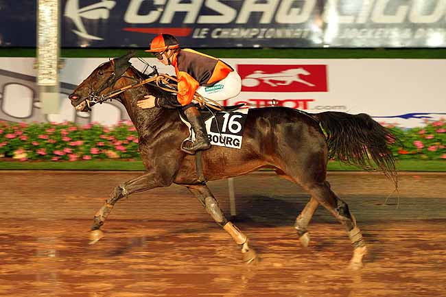 Arrivée quinté pmu PRIX DES AMARYLLIS à CABOURG