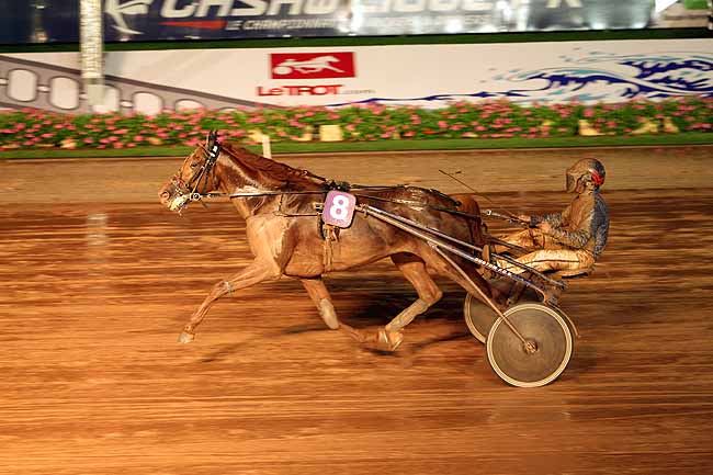 Arrivée quinté pmu PRIX DES ARUMS à CABOURG