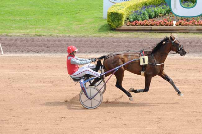Arrivée quinté pmu PRIX SCAUTO RENAULT SAINT-LO à GRAIGNES
