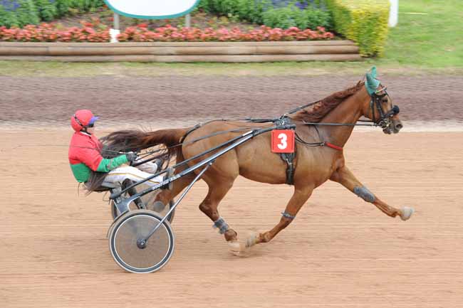Arrivée quinté pmu PRIX ENTREPRISE SOTELEC - ELECTRICITE à GRAIGNES