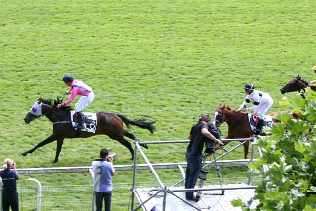 Arrivée quinté pmu PRIX DE LA VILLE DE VICHY à VICHY