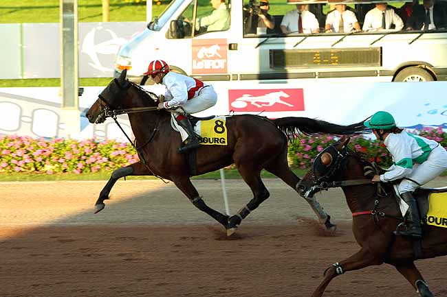 Arrivée quinté pmu PRIX DES PETUNIAS à CABOURG