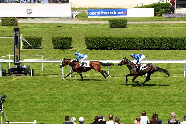 Arrivée quinté pmu PRIX MISTI à CLAIREFONTAINE