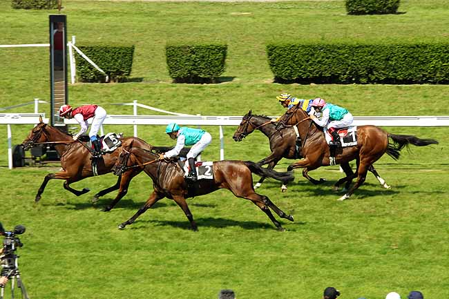 Arrivée quinté pmu PRIX ROSELIERE à CLAIREFONTAINE