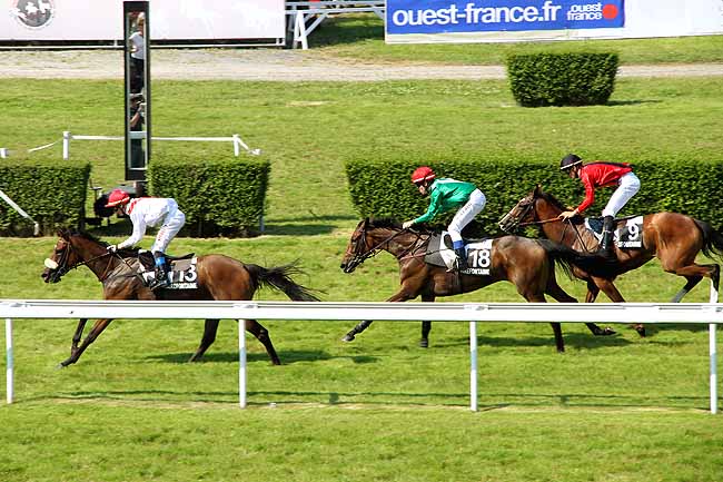 Arrivée quinté pmu PRIX DES ORCHIDEES à CLAIREFONTAINE