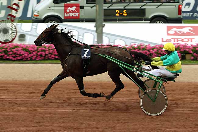 Arrivée quinté pmu PRIX HENRI BALLIERE à CABOURG