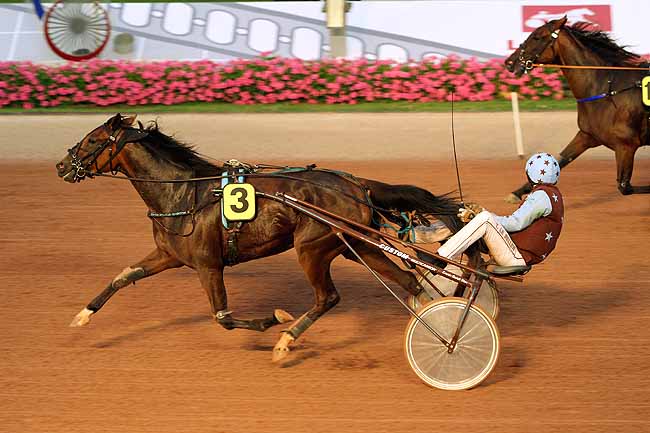 Arrivée quinté pmu PRIX DU CONSEIL REGIONAL à CABOURG