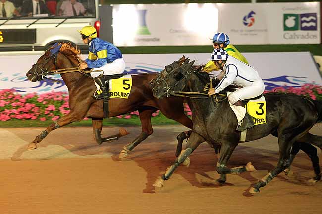 Arrivée quinté pmu PRIX DES GLYCINES à CABOURG