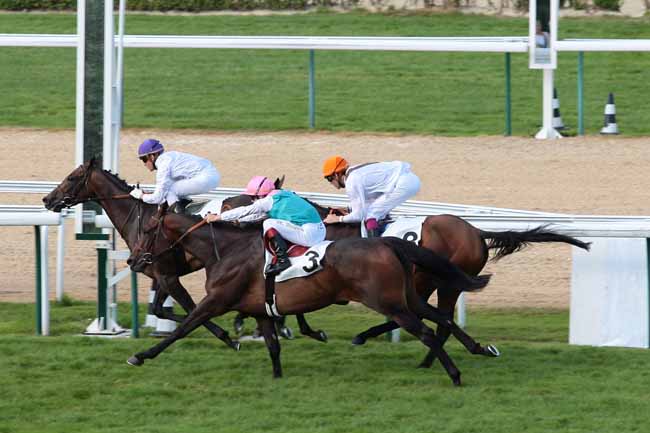 Arrivée quinté pmu PRIX DE PSYCHE à DEAUVILLE