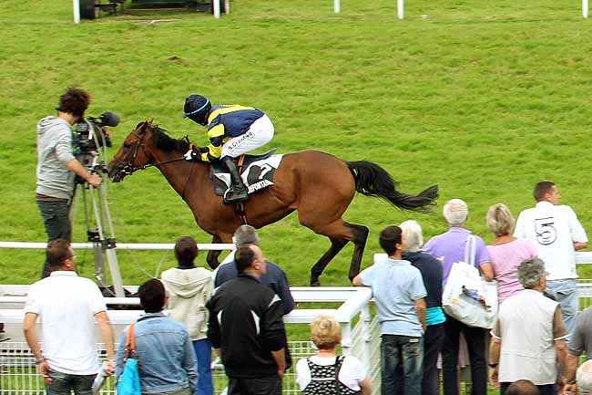 Arrivée quinté pmu PRIX GUY DU FAUR DE PIBRAC à CLAIREFONTAINE