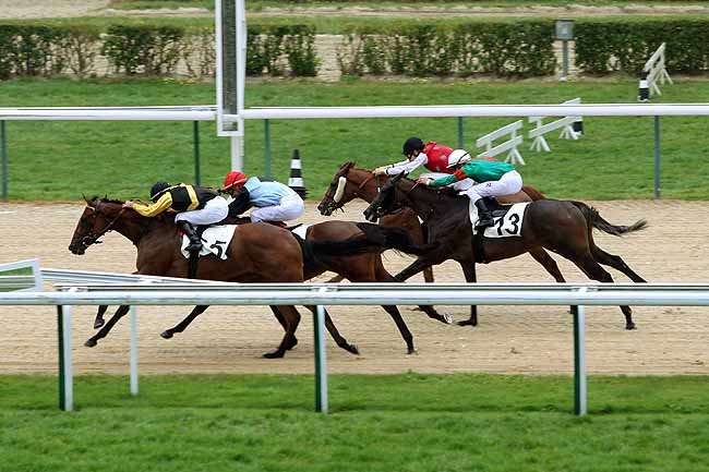 Arrivée quinté pmu PRIX DE LA BIENNE à DEAUVILLE