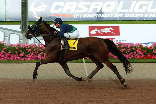 Arrivée quinté pmu PRIX DES HELIANTHES à CABOURG