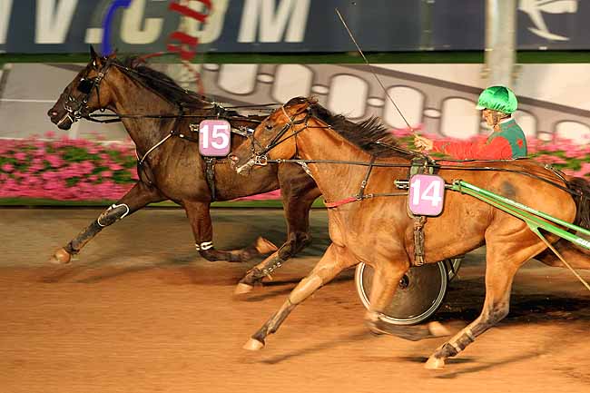 Arrivée quinté pmu PRIX DES DIGITALES à CABOURG