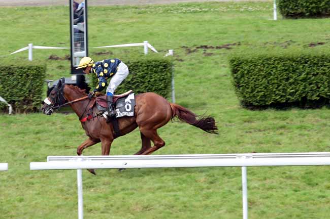 Arrivée quinté pmu PRIX SAINT-JULIEN à CLAIREFONTAINE