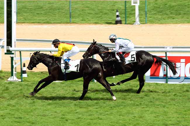 Arrivée quinté pmu PRIX DE GRANVILLE à DEAUVILLE