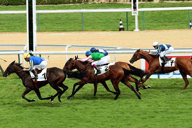 Arrivée quinté pmu PRIX DES ROCHES à DEAUVILLE