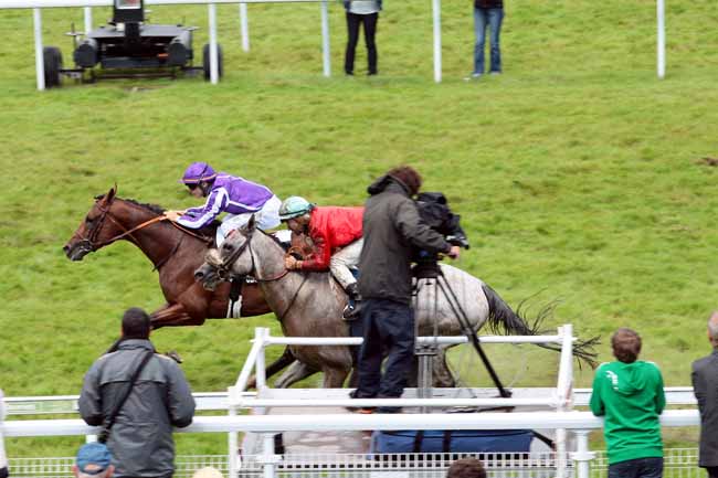 Arrivée quinté pmu PRIX DE LA VILLA STRASSBURGER à CLAIREFONTAINE
