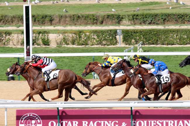 Arrivée quinté pmu PRIX DU GRAND CANAL à DEAUVILLE