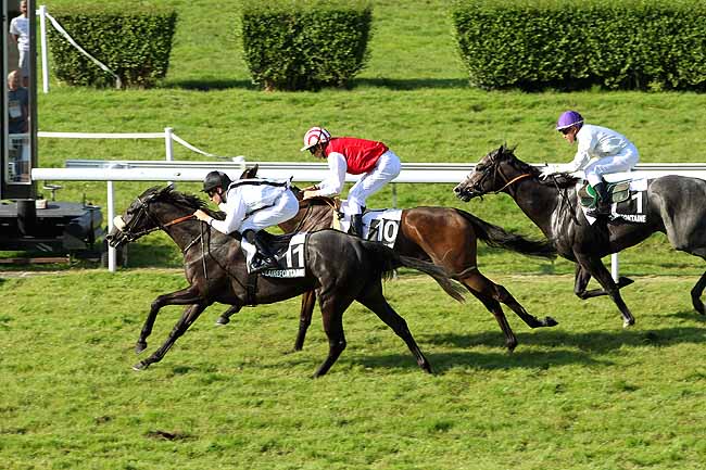 Arrivée quinté pmu PRIX DE BLANGY-LE-CHATEAU à CLAIREFONTAINE