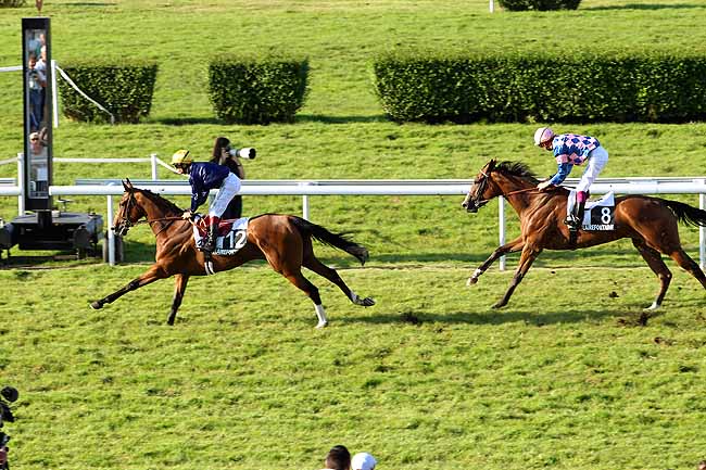 Arrivée quinté pmu PRIX DE LA PETITE FERME à CLAIREFONTAINE