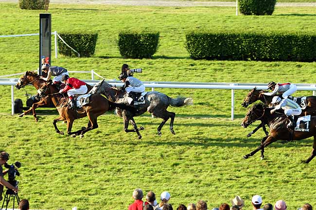 Arrivée quinté pmu PRIX DE BROCOTTE à CLAIREFONTAINE
