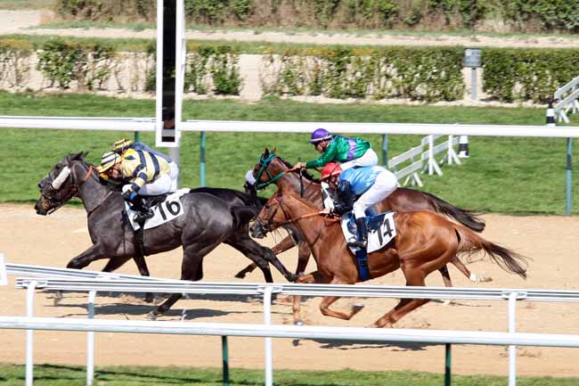 Arrivée quinté pmu PRIX DE LA HETRAIE (PELOTON A) à DEAUVILLE