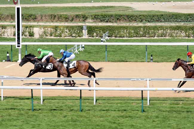 Arrivée quinté pmu PRIX D'AUQUAINVILLE à DEAUVILLE