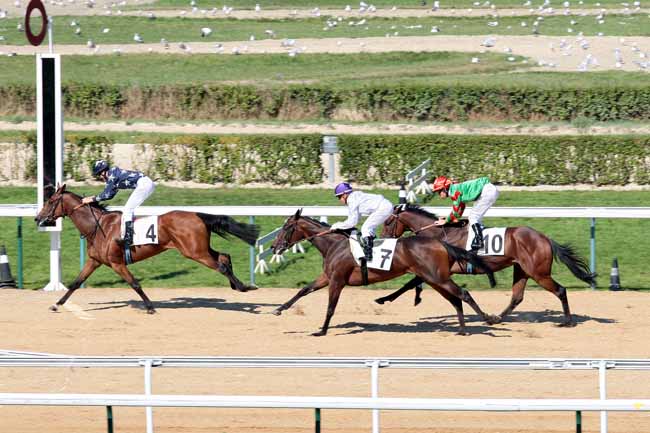 Arrivée quinté pmu PRIX DE LA PEGASERIE à DEAUVILLE