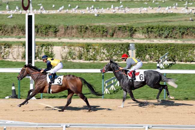 Arrivée quinté pmu PRIX DU BOIS HELLAIN à DEAUVILLE