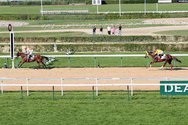 Arrivée quinté pmu PRIX DU BOIS BARBOT à DEAUVILLE
