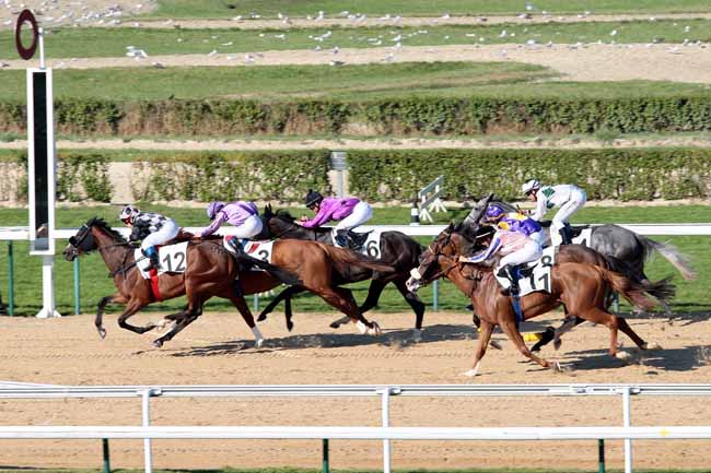 Arrivée quinté pmu PRIX DE BEUZEVILLE à DEAUVILLE