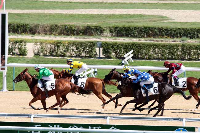 Arrivée quinté pmu PRIX DE COLLEVILLE à DEAUVILLE